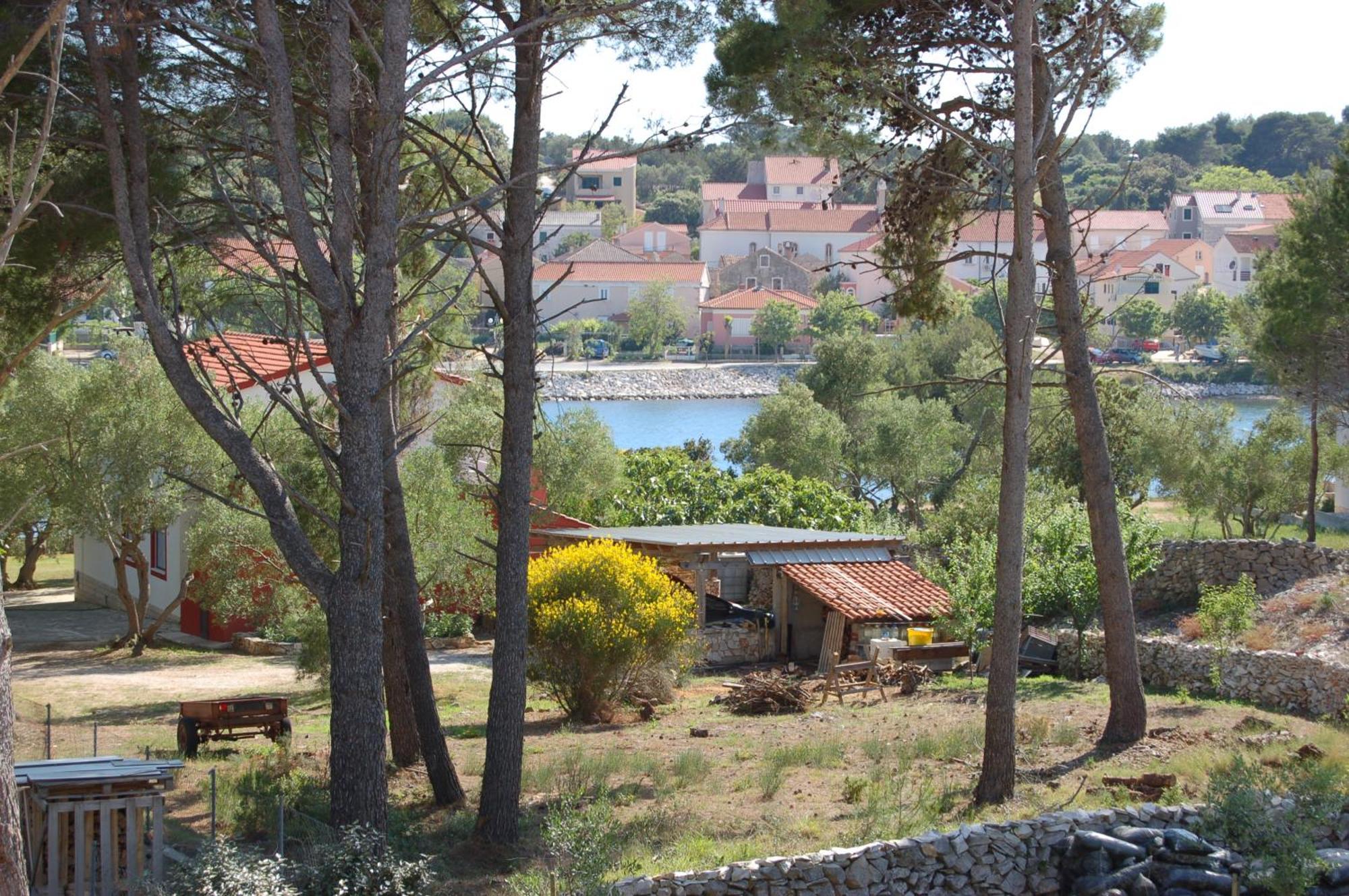 Gorgonia Suites In Verunic